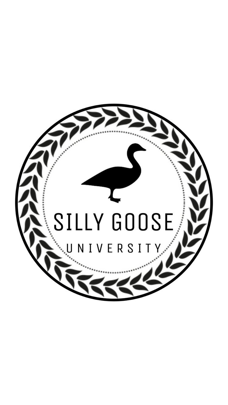 Silly Goose Clothing